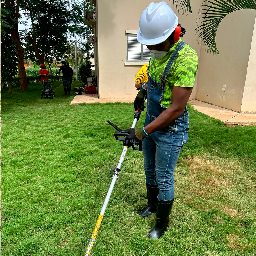 Manutenção de Jardim