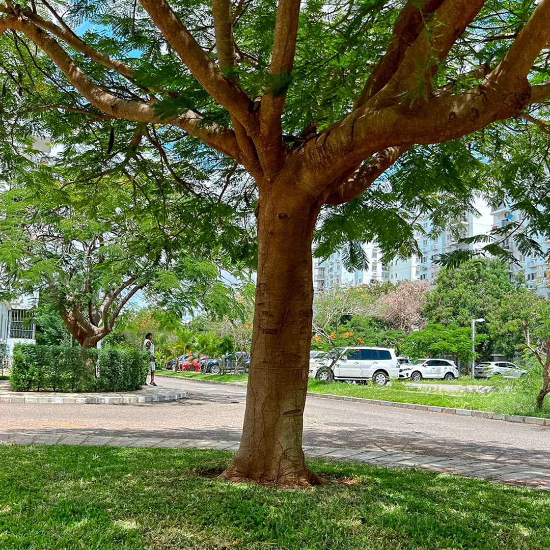 Paisagismo Corporativo